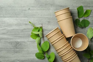 Czy kubki papierowe są ekologiczne?