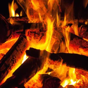 Co można upiec na ognisku: pomysły na pyszne potrawy na ogniskowe przyjęcia